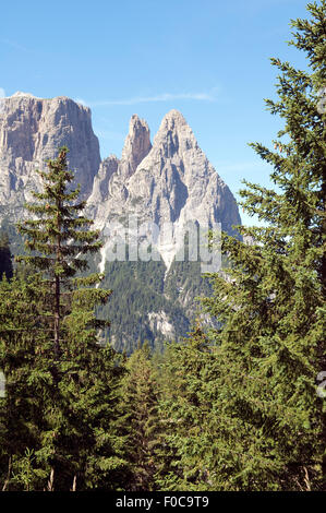 Massiccio dello Sciliar Alpe, Alm, Dolomiten, Foto Stock