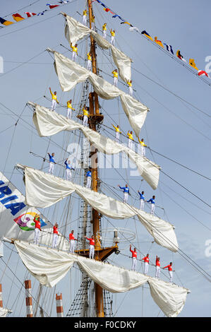 Bremerhaven, Germania. 12 Ago, 2015. Il primo tall ships lay pronto per la nona edizione internazionale di vela Windjammer Festival 2015 nel porto di Bremerhaven (Germania), 12 agosto 2015. La vela incontro avrà luogo dal 12 - 16 agosto 2015. Qui i membri dell'equipaggio della Columbia corteccia dell 'gloria' sono visibili nelle vele. Al festival 270 velieri tradizionali di qualsiasi dimensione da tutto il mondo saranno in partecipazione. Credito: dpa picture alliance/Alamy Live News Foto Stock