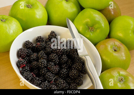 Appena raccolto more in bianco ciotola con Bramley Mele Foto Stock