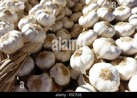 Bulbi di aglio in vendita al di fuori del negozio nei Pirenei spagnoli, Spagna Foto Stock