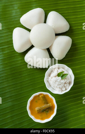 Freschi cotti al vapore folli indiano (Idli) disposti in modo decorativo come un fiore sulla tradizionale foglia di banano. Servita con chutney e sambar. Foto Stock