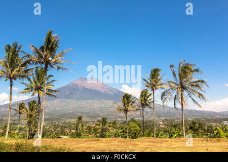 Vulcano Simbung tra Wonosobo Yogjakarta e sulla strada per il Dieng plateau in Java in Indonesia. Foto Stock