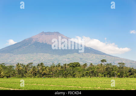 Vulcano Simbung tra Wonosobo Yogjakarta e sulla strada per il Dieng plateau in Java in Indonesia. Foto Stock