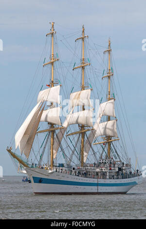 Bremerhaven, Germania. 12 Ago, 2015. La tall ship 'Mir' dalla Russia vele tra gli altri in pelo durante la parata di apertura sul Weser vicino a Bremerhaven, Germania settentrionale, mercoledì 12 agosto, 2015. Circa 300 navi prendono parte alla parata che apre il festival. Credito: Focke Strangmann/Alamy Live News Foto Stock