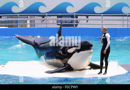 Marzo 26, 2015 - Key Biscayne, Florida, Stati Uniti - un trainer esegue con Killer Whale, Lolita, al Miami Seaquarium. Foto Stock