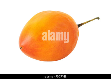 Close-up di un intero tamarillo (anche noto come albero di pomodoro (Solanum betaceum)), isolati su sfondo bianco. Foto Stock