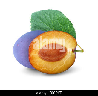 Tagliare il blu prugna con foglie isolato su bianco Foto Stock