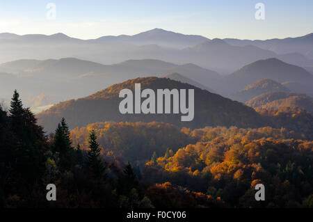 Foresta di colline coperte, Piatra Craiului National Park, Transilvania meridionale, le montagne dei Carpazi, Romania, Ottobre 2008 Foto Stock