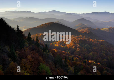 Foresta di colline coperte, Piatra Craiului National Park, Transilvania meridionale, le montagne dei Carpazi, Romania, Ottobre 2008 Foto Stock