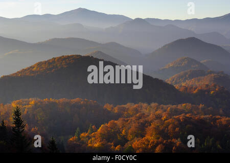 Foresta di colline coperte, Piatra Craiului National Park, Transilvania meridionale, le montagne dei Carpazi, Romania, Ottobre 2008 Foto Stock