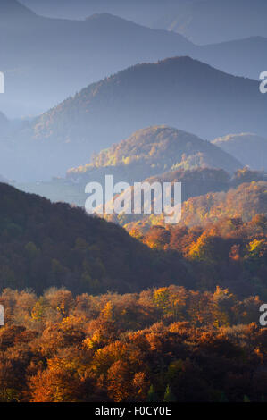 Foresta di colline coperte, Piatra Craiului National Park, Transilvania meridionale, le montagne dei Carpazi, Romania, Ottobre 2008 Foto Stock