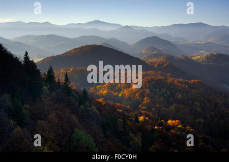 Foresta di colline coperte, Piatra Craiului National Park, Transilvania meridionale, le montagne dei Carpazi, Romania, Ottobre 2008 Foto Stock