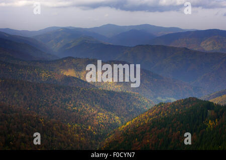 Foresta di colline coperte, Piatra Craiului National Park, Transilvania meridionale, le montagne dei Carpazi, Romania, Ottobre 2008 Foto Stock