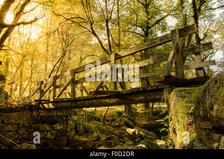 Ponte di legno a Geres National Park, Portogallo Foto Stock