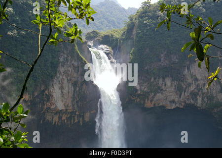 San Rafael cade. La cascata più grande in Ecuador Foto Stock