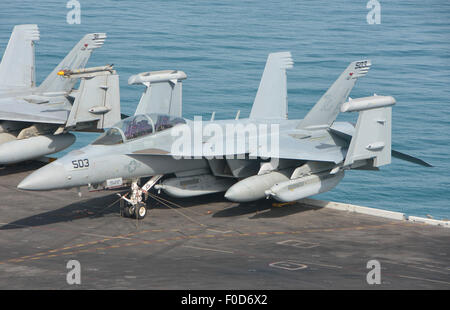 Un EA-18G Growler assegnato ad attacco elettronico Squadron 137 (VAQ-137), imbarcato a bordo della portaerei USS Theodore Roosev Foto Stock