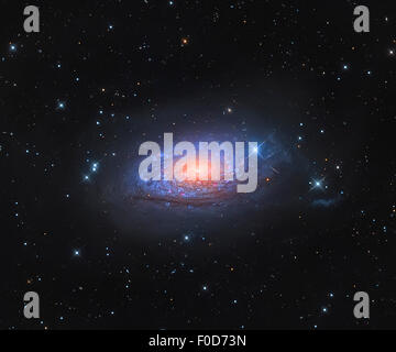 Galassia a spirale Messier 63, il girasole galassia nella costellazione Canes Venatici. M63 è costituito da un disco centrale circondato b Foto Stock