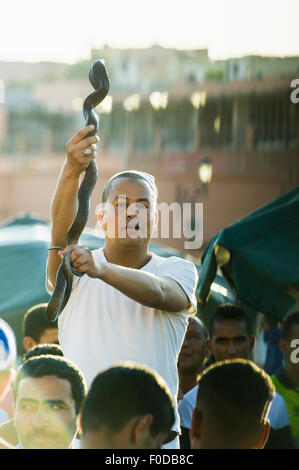 Il serpente incantatore, Djemaa el Fna, sito Patrimonio Mondiale dell'UNESCO, Marrakech, Marocco Foto Stock