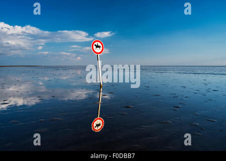 Cartello stradale, equitazione vietato nell'estuario, Sankt Peter-ording, SCHLESWIG-HOLSTEIN, Germania Foto Stock