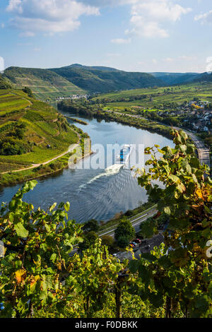 Nave da crociera presso il fiume Moselle piegare vicino Bremm, visto attraverso i vigneti, Valle della Mosella, Renania-Palatinato, Germania Foto Stock