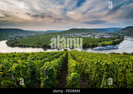 Spedizione Cruiseship tra i vigneti che circondano il Fiume Mosella, Trittenheim, Valle della Mosella, Renania-Palatinato, Germania Foto Stock