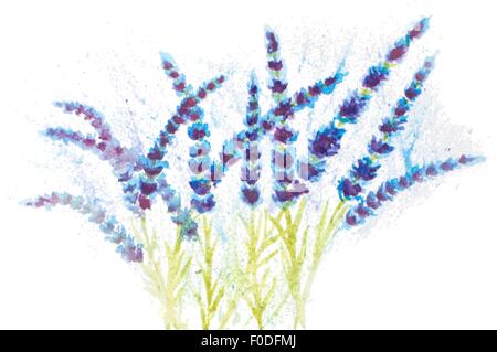 Acquerello lavanda sfondo astratto. illustrazione vettoriale Illustrazione Vettoriale