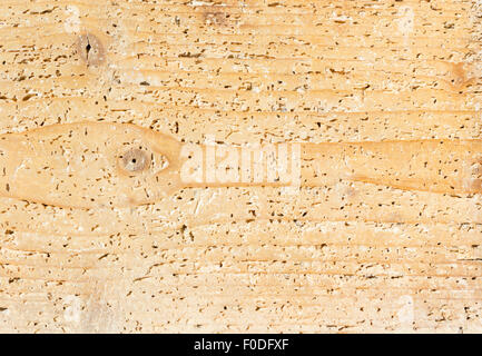 Close up di legno texture con bird's eye Foto Stock