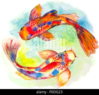 Acquerello disegnato a mano i pesci koi Illustrazione Vettoriale