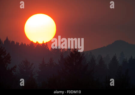 Elkton, Oregon, Stati Uniti d'America. 12 Ago, 2015. Il fumo proveniente da diverse grandi vicino a incendi di foresta crea un vago giallo tramonto visto da un lato di una collina nei pressi di Elkton nel sud-ovest dell'Oregon. © Robin Loznak/ZUMA filo/Alamy Live News Foto Stock