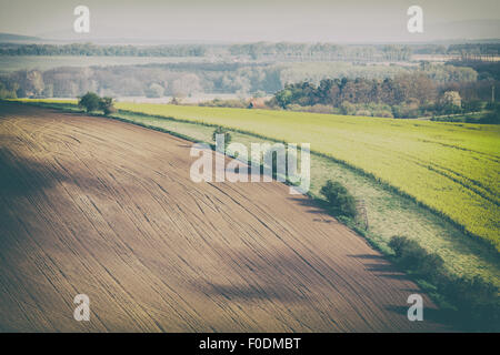 Foto d'epoca di colline verdi e campi di erba a sunny sera Foto Stock