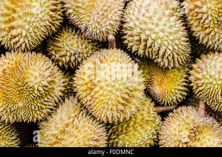 Durian, re di frutta, frutta famoso in Thailandia Foto Stock