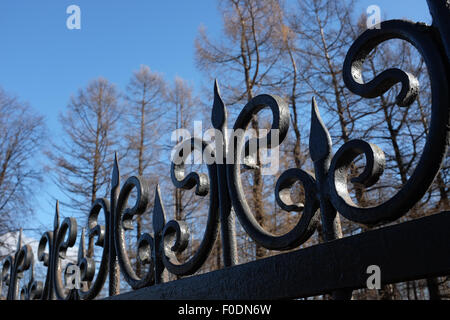 Ferro battuto recinto contro il cielo e alberi Foto Stock