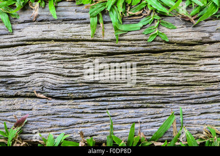 Le superfici in legno sfondo Foto Stock