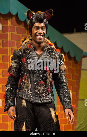 Simon Webbe come Wolf. West End premiere della storia per bambini " 3 Little Pigs' presso il Palace Theatre starring Simon Webbe come Lupo, Alison Jiear come madre, Leanne Jones come Bee, Taofique Folarin come bar e Daniel Buckley come D. Lo spettacolo va dal 5 agosto al 6 settembre 2015. Foto Stock