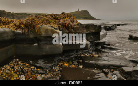 "Kimmeridge custodi' queste rocce guardare come mitico custodi con alghe marine come i capelli. La follia Kimmeridge sulla rupe Foto Stock