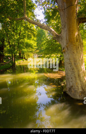 Laghetto, Parco Sempione Milano. L'Italia, Parco Sempione Milano. Italia Foto Stock