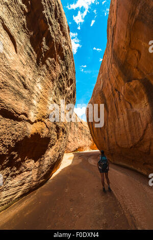 Forcella a secco si restringe di Coyote Gulch Foto Stock