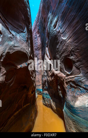 Acqua nel Canyon lenta composizione verticale Utah Foto Stock