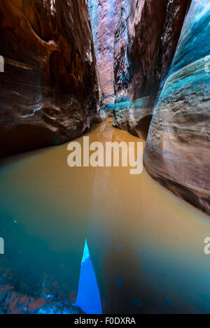 Acqua nel Canyon lenta composizione verticale Utah Foto Stock