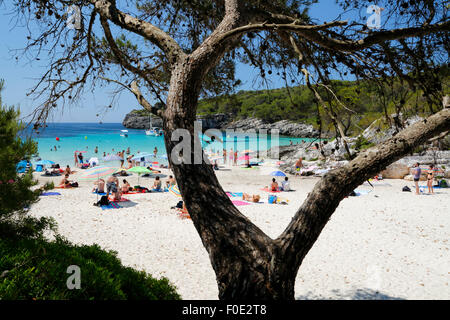 Cala en Turqueta, South West Coast, vicino a Ciutadella, Menorca, isole Baleari, Spagna, Europa Foto Stock