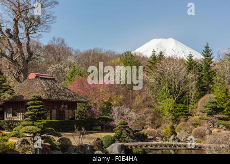 Tetto di Paglia house e Mt. Fuji in Giappone Foto Stock