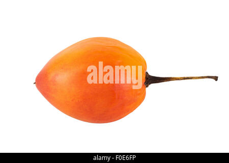 Vista laterale di un intero tamarillo (anche noto come albero di pomodoro (Solanum betaceum)), isolati su sfondo bianco. Foto Stock