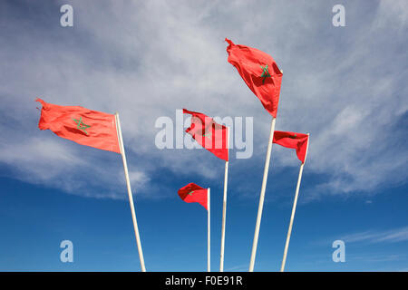 Bandiere nazionali del Marocco sventolare sui pennoni contro sopra il cielo blu. Basso angolo di visione. Foto Stock