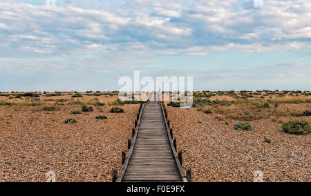 Percorso attraverso Dungeness beach Foto Stock