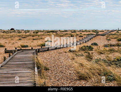 Percorso attraverso Dungeness beach Foto Stock