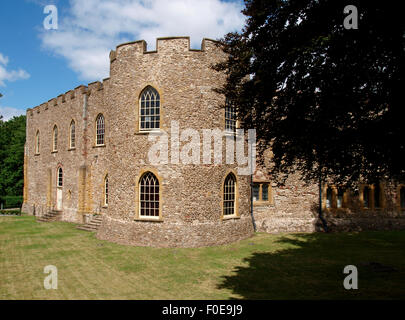 Il Museo del Somerset, Taunton, Somerset, Regno Unito Foto Stock