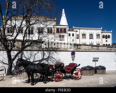 SINTRA, PORTOGALLO - 07 MARZO 2015: Cavallo e carrozza con il Palacio Nacional de Sintra (Palazzo Nazionale) Foto Stock