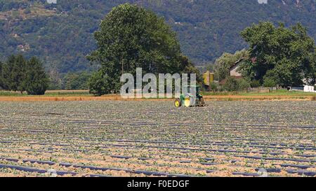 Il trattore sul campo in una comunità agricola Foto Stock
