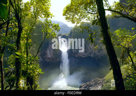 San Rafael cade. La cascata più grande in Ecuador Foto Stock
