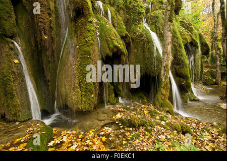 Cascate e abbondanti muschi (Cratoneuron commutatum e Bryum ventricosum) che cresce sull'Labudovac barriera, laghi superiori, il Parco Nazionale dei Laghi di Plitvice, Croazia, Ottobre 2008 Foto Stock